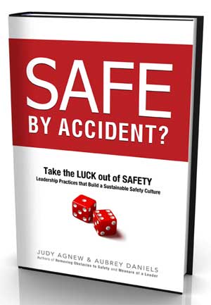 Safe By Accident by Judy Agnew and Aubrey Daniels
