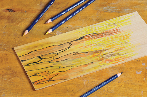 For spalt, color and blend the background hues first, wait for the wood to dry, then add the dark lines.