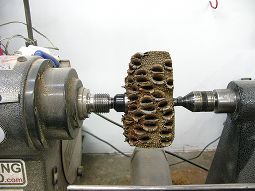 Banksia pod mounted vertically in a lathe