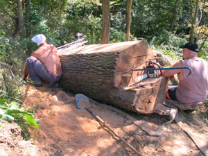 Black Oak, Blade Alignment and Strawberry-Rhubarb Pie