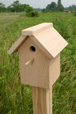 Best Paint for Birdhouses?