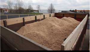 How to Dispose of Sawdust?